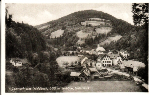 Waldbach (Steiermark) - A 1951 95 082 ** / ●